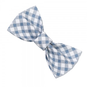 Blue Gingham Bow Tie